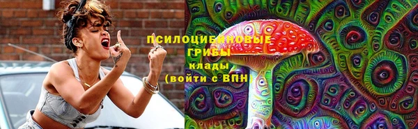 дмт Армянск