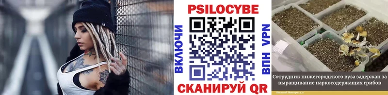 Купить  Краснотурьинск  Псилоцибиновые грибы прущие грибы 