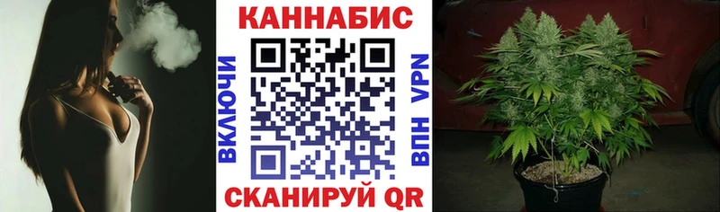 Бошки марихуана MAZAR  Купить  Краснотурьинск 